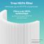 Filtre à air HEPA authentique 3-en-1 Bionaire® pour purificateur d’air BAP360-CN Image 4 of 6